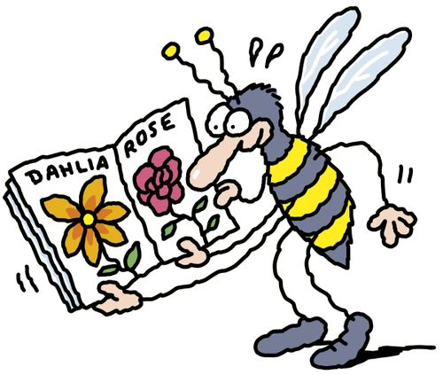 A bee getting excited looking at a flower catalogue.