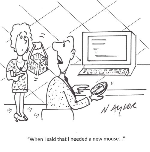 'When I said that I needed a new mouse...'