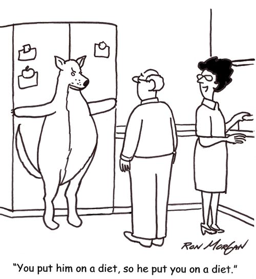 'You put him on a diet, so he put you on a diet.'