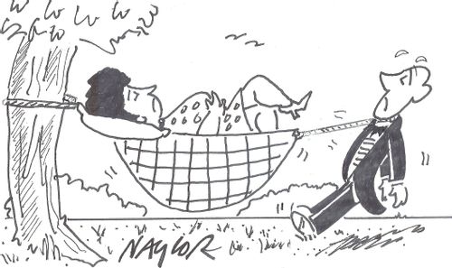 Butler is supporting a hammock.