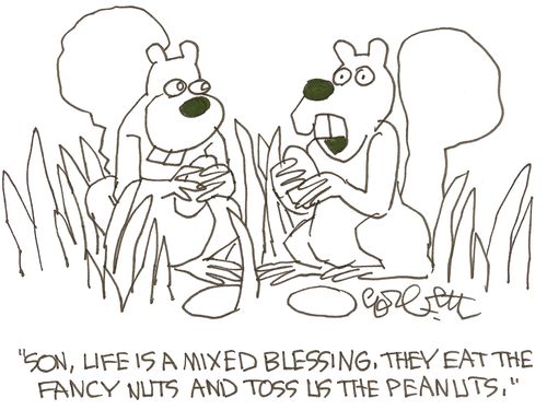 'Son, life is a mixed blessing, they eat the fancy nuts and toss us the peanuts.'