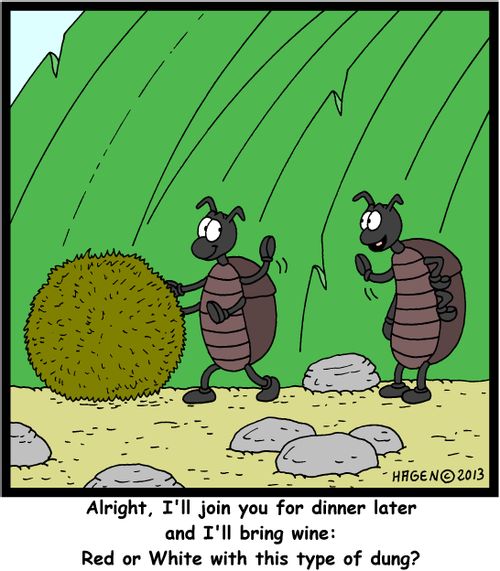 'Alright, I'll join you for dinner later and I'll bring wine: Red or White with this type of dung?'