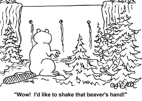 'Wow! I'd like to shake that beaver's hand!'