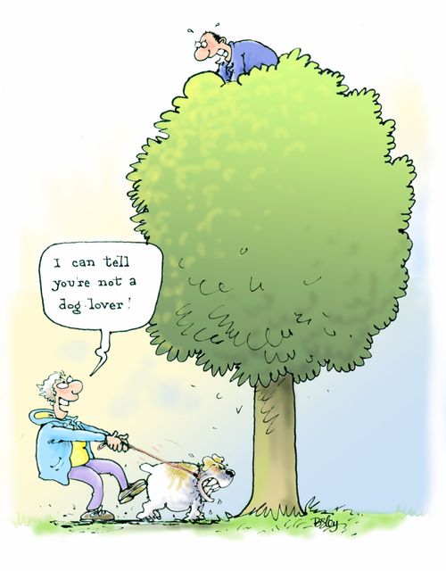 'I can tell you're not a dog lover!'