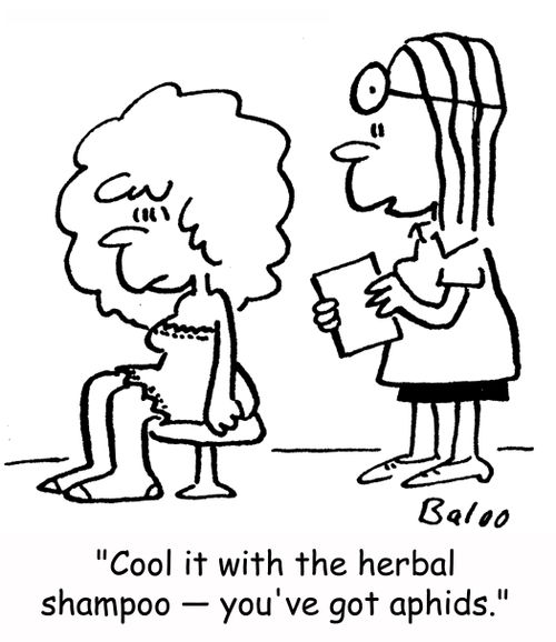 'Cool it with the herbal shampoo -- you've got aphids.'