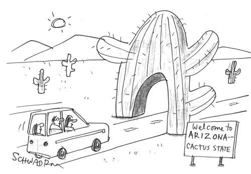 Cactus welcoming you to Arizona.