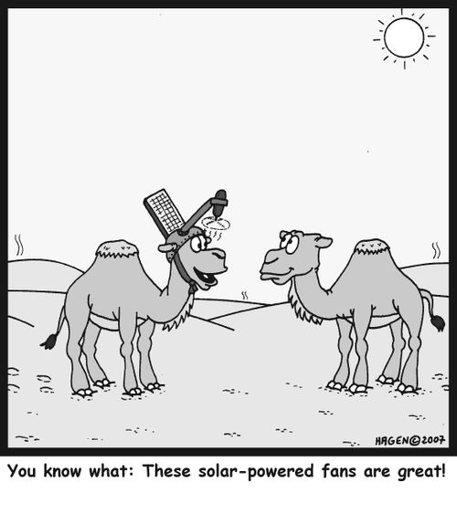 You know what: These solar-powered fans are great!