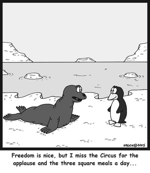 'Freedom is nice, but I miss the Circus for the applause and the three square meals a day...'