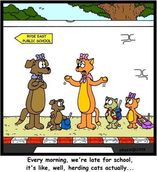 'Every morning, we're late for school, it's like, well, herding cats actually...'
