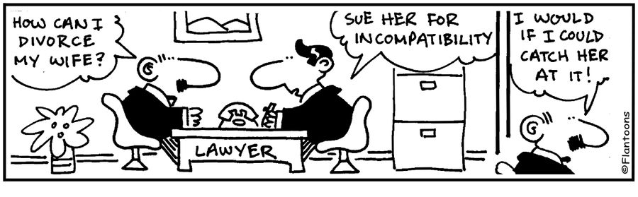 How can I divorce my wife? Sue her for incompatibility. I would if I could catch her at it!