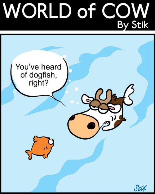 You've heard of a dogfish, right?