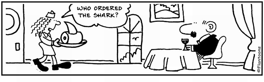 'Who ordered the shark?.' '