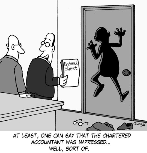 'At least, one can say that the chartered accountant was impressed... well, sort of.'