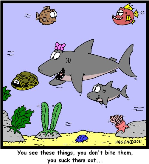 'You see these things, you don't bite them, you suck them out...'