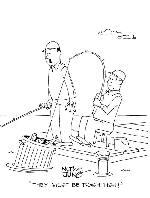 'They must be trash fish!'