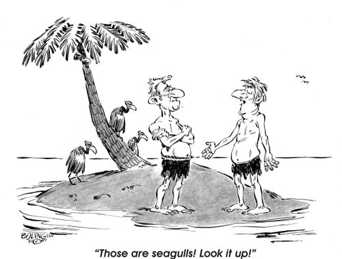 'Those are seagulls! Look it up!