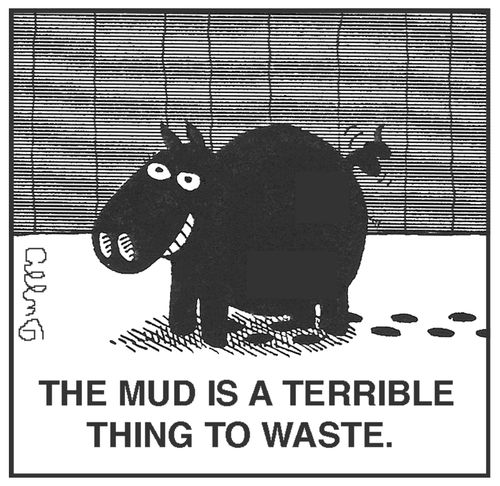 The Mud is a terrible thing to waste.