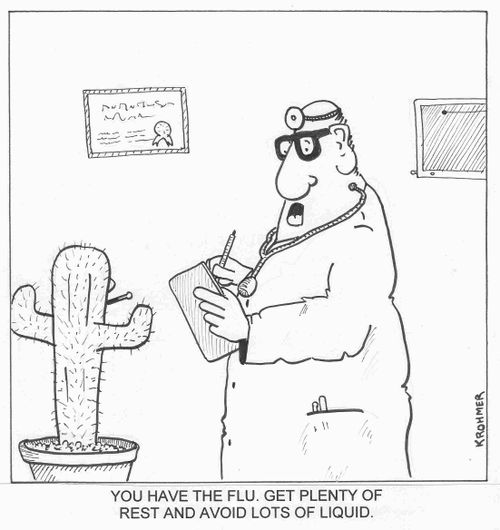 You have the flu. Get plenty of rest and avoid lots of fluids.