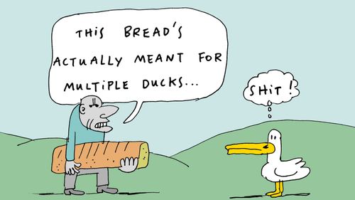 'This bread's actually meant for multiple ducks.'