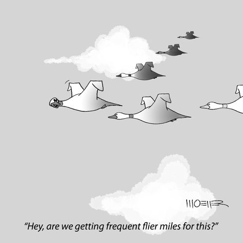 'Hey, are we getting frequent flier miles for this?'