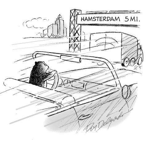 'Hamsterdam 5 Mi.'