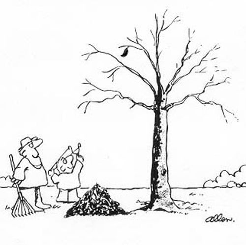 Last leaf of autumn