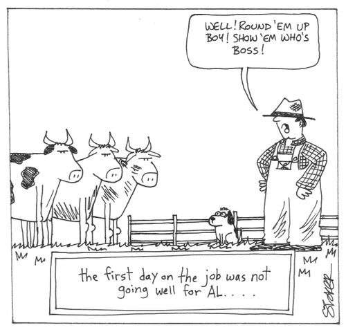 'The first day on the job was not going well for Al...'