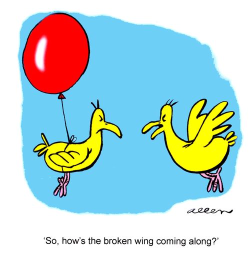 'So how's the broken wing coming along?'