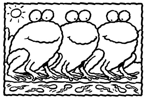 Three frogs watching their tadpoles.