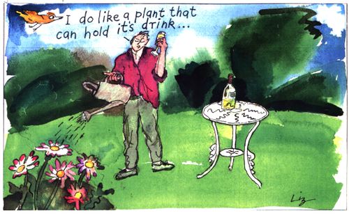 "I do like a plant that can hold its drink"