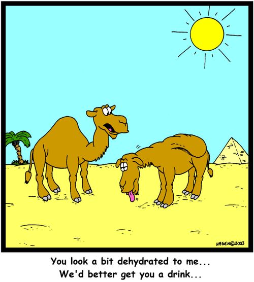 'You look a bit dehydrated to me... We'd better get you a drink...'