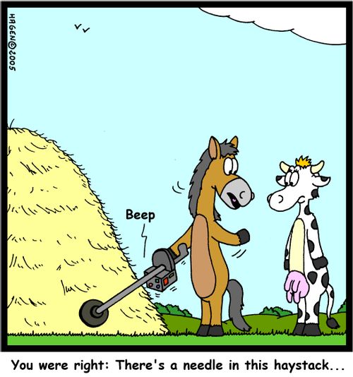 'You were right: There's a needle in this haystack...'