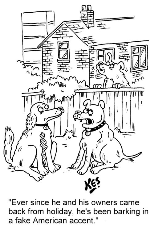 'Ever since he and his owners came back from holiday, he's been barking in a fake American accent.'