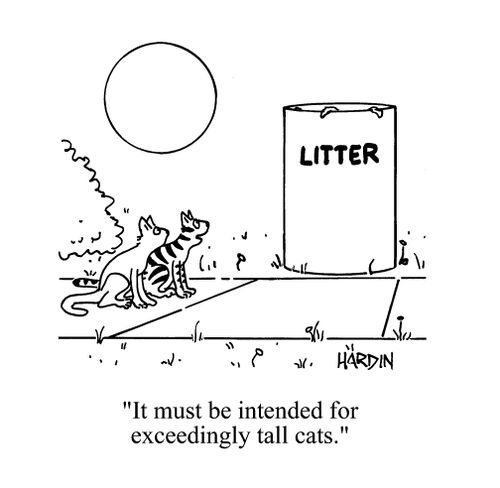 Cats looking at litter bin - 'It must be intended for exceedingly tall cats.'
