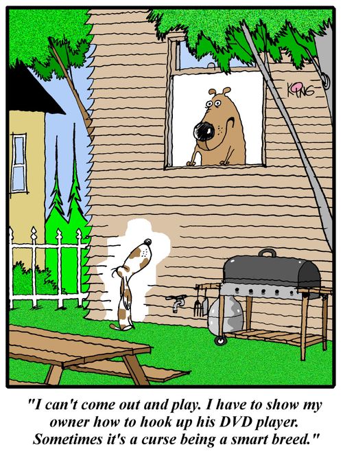'I can't come out and play.  I have to show my owner how to hook up his DVD player.  Sometimes it's a curse being a smart breed.'