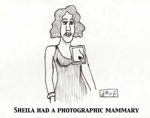 Sheila had a photographic mammary.