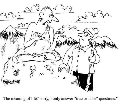 'The meaning of life? sorry, I can only answer 'true or false' questions.'