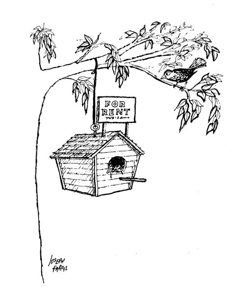 Bird House for Rent.