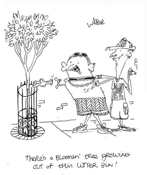 'There's a bloomin' tree growing out this litter bin!'