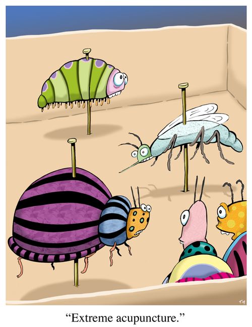 'Extreme acupuncture.'
