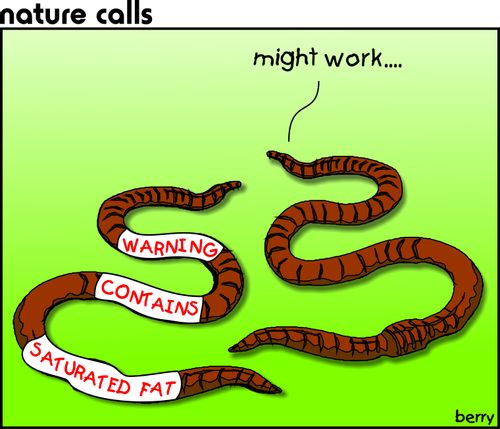 Saturated Fat...Might Work.