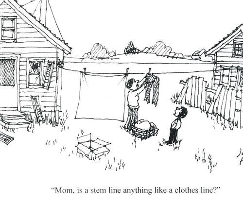 'Mom, is a stem line anything like a clothes line?'