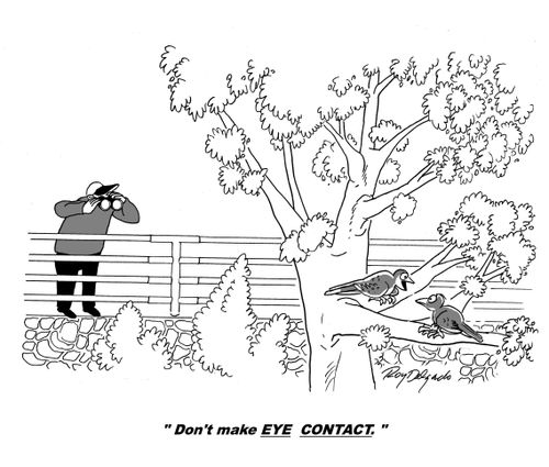 'Don't make EYE CONTACT.'