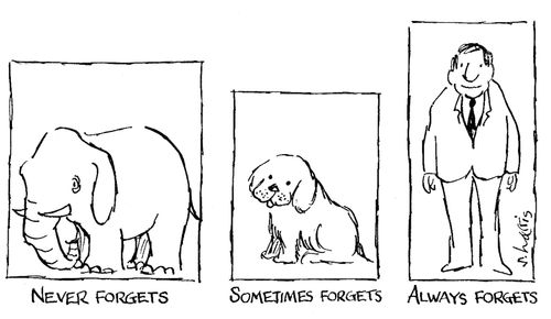 Never Forgets, Sometimes Forgets, and Always Forgets.