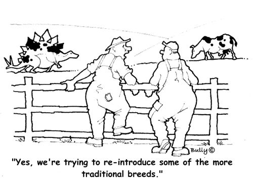 'Yes, we're trying to re-introduce some of the more traditional breeds.'