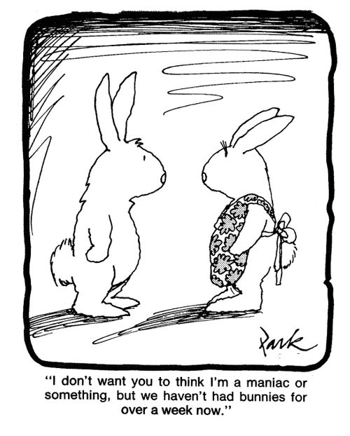 'I don't want you to think I'm a maniac or something, but we haven't had bunnies for over a week now.'