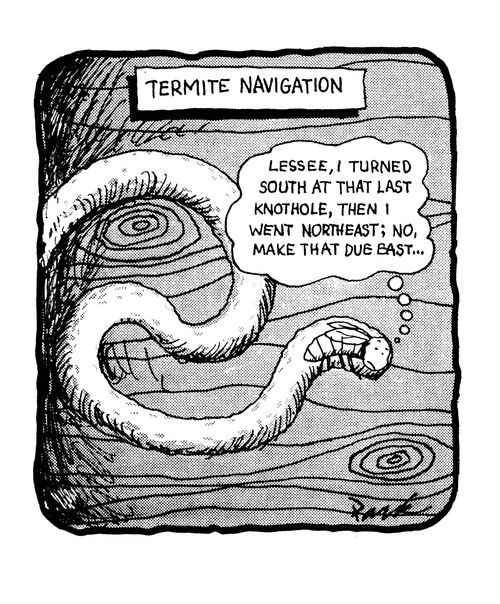 Termite Navigation.