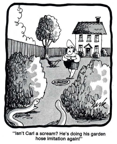 'Isn't Carl a scream? He's doing his garden hose imitation again!'