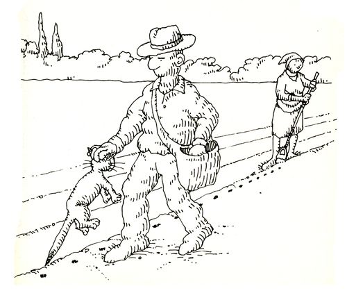 101 uses of a dead cat: seed dibber.