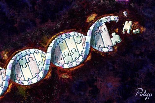 DNA jigsaw